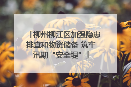 柳州柳江区加强隐患排查和物资储备 筑牢汛期“安全堤”
